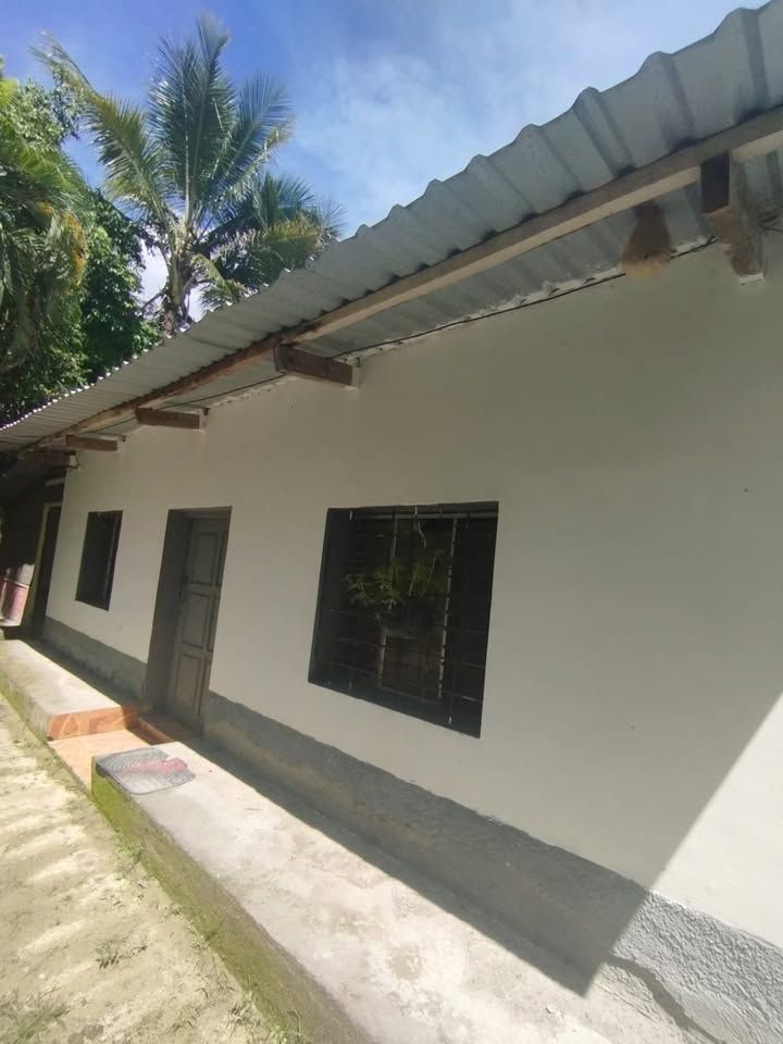 Se Vende Finca en el Rosario Santa Rosa de Copan imagen 6