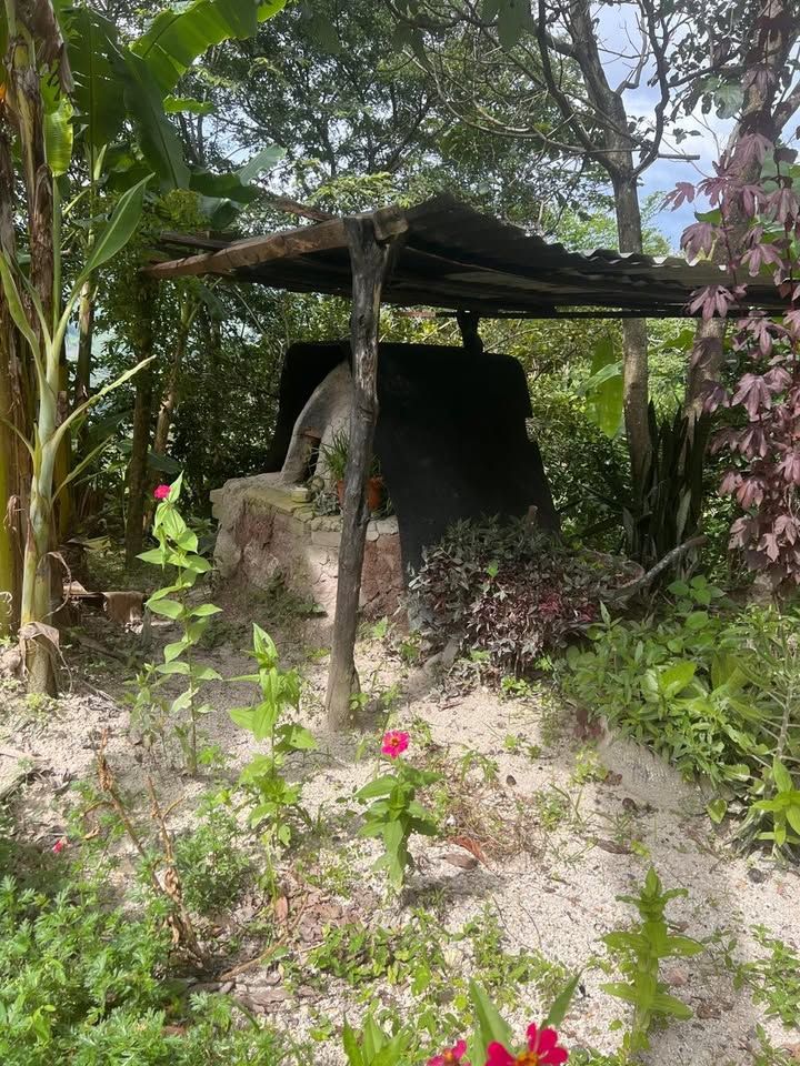 Se Vende Finca en el Rosario Santa Rosa de Copan imagen 4