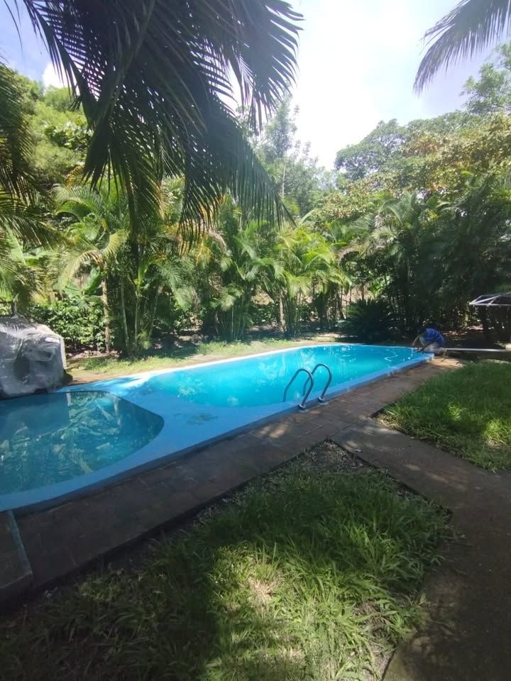 Se Vende Finca en el Rosario Santa Rosa de Copan imagen 5
