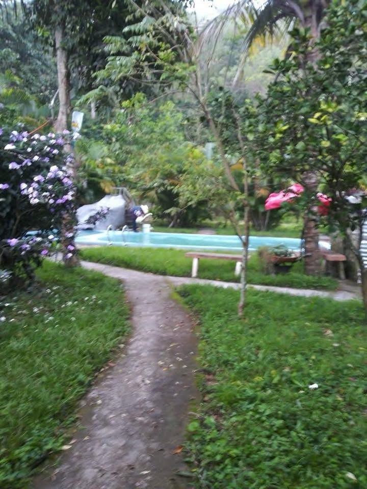 Se Vende Finca en el Rosario Santa Rosa de Copan imagen 8