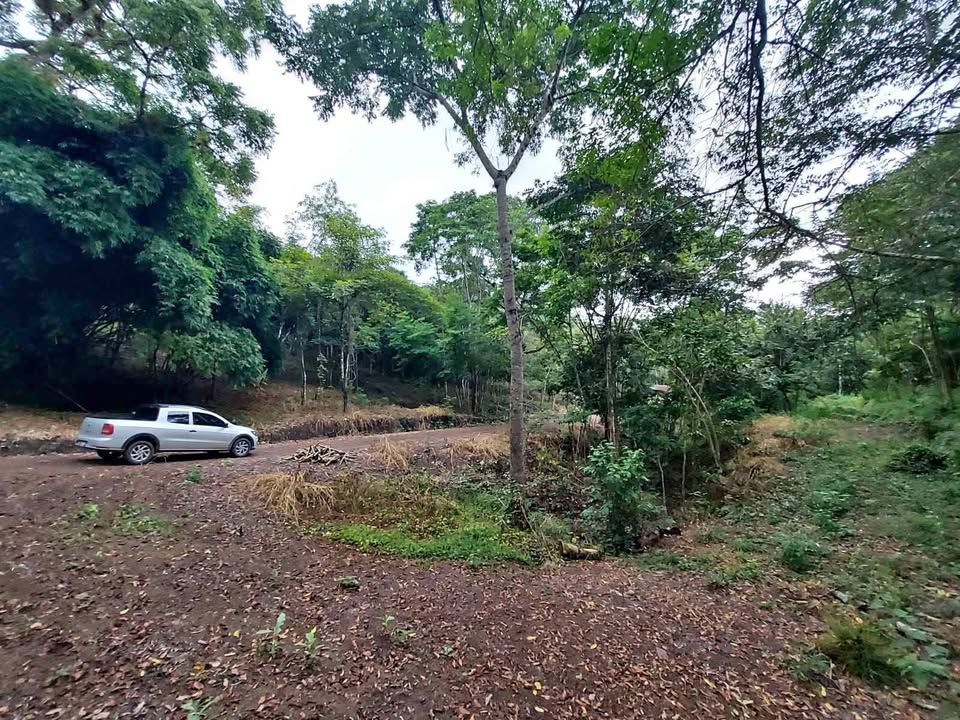 Lote en Venta - Parcelación San Lucas, Copán Ruinas imagen 3